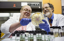 doctors in research lab