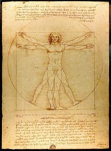 The Vitruvian Man