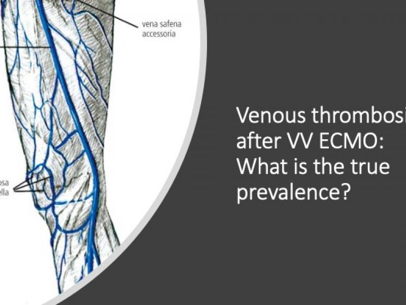 Venous thrombosis after VV ECMO: What is the true prevalence?  