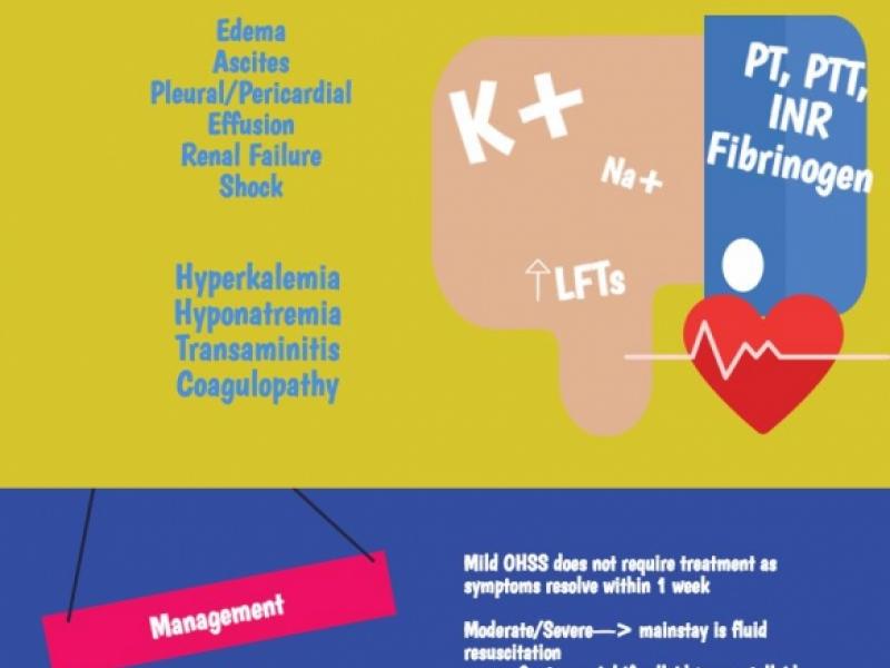 Advanced Practice: Ovarian Hyperstimulation