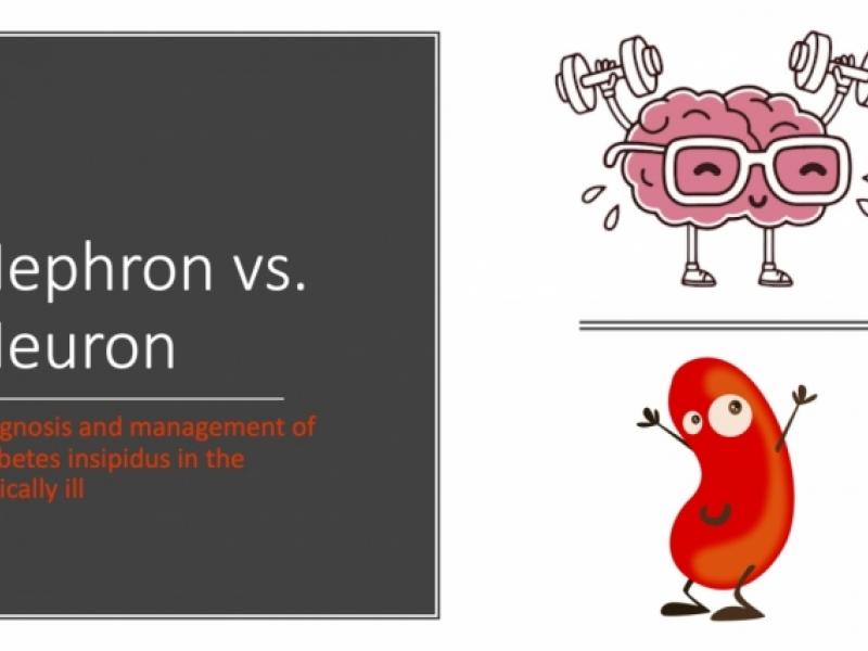 Nephron vs. Neuron: Diagnosis and management of diabetes insipidus in the critically ill 