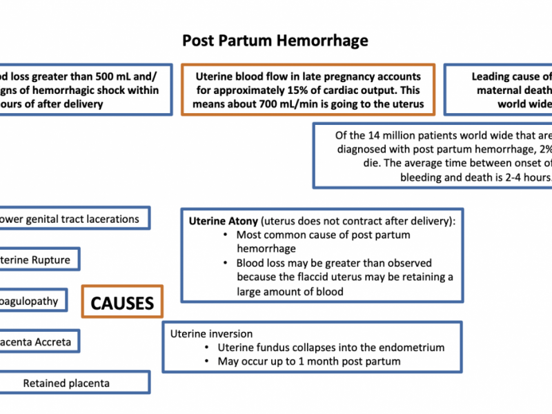 Back to Basics: Postpartum Hemorrhage