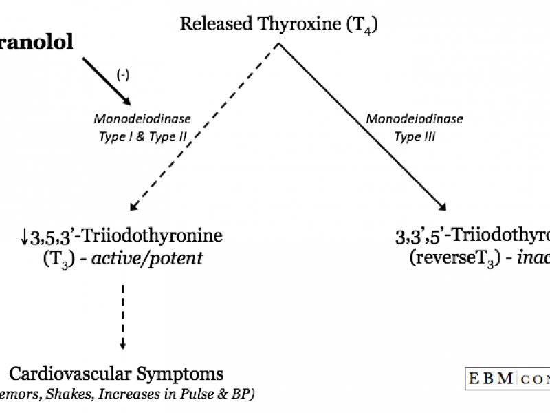 How Propranolol Works In Thyroid Storm