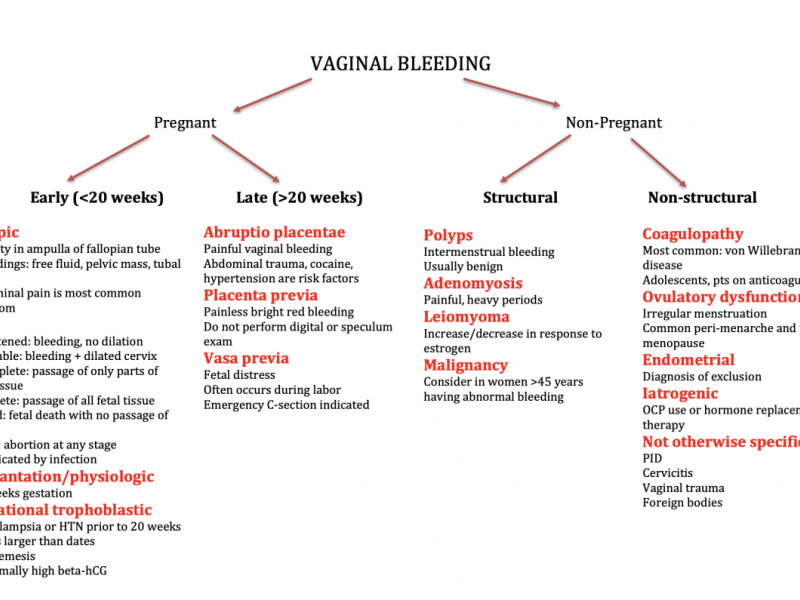 #EMConf: Vaginal Bleeding