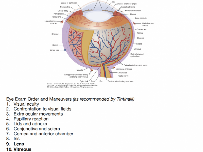 Back to Basics: Ocular Ultrasound Part 1