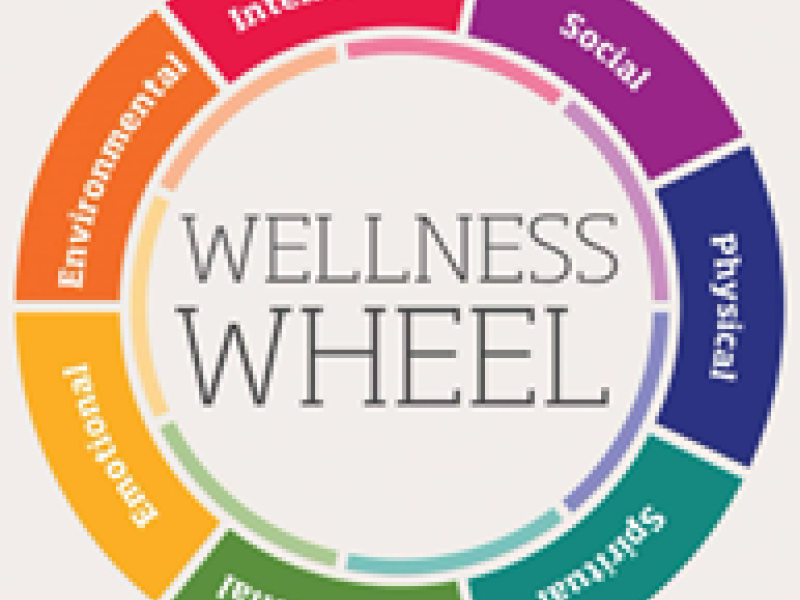 Wellness Wednesday: GME Wellness Resources