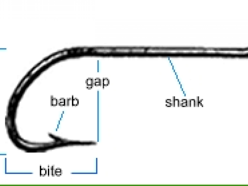 How to remove a fishhook