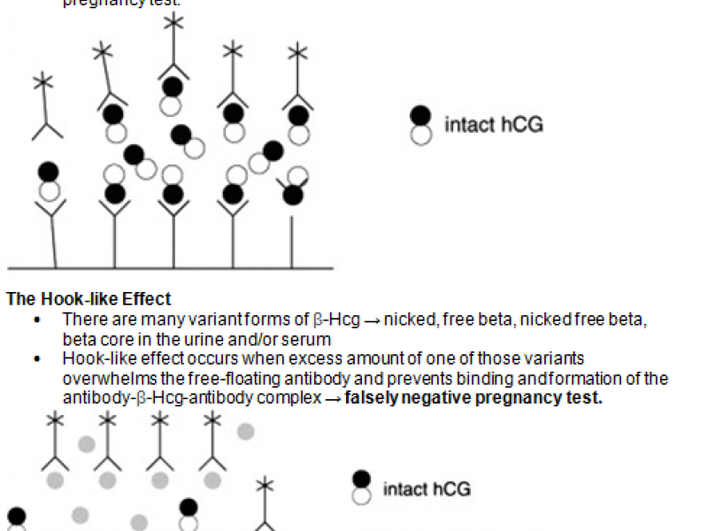 #EMconf: The Hook Effect 