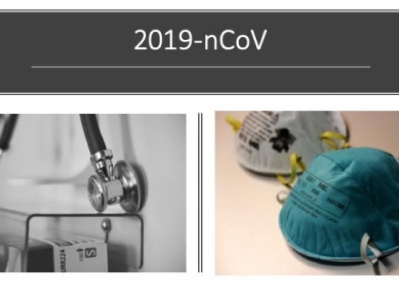 A Novel Coronavirus (2019-nCoV)